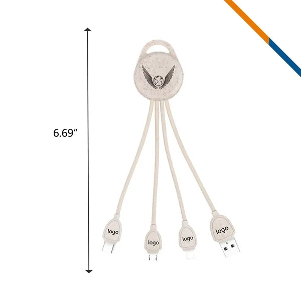 Raneon 3in1 Charging Cable