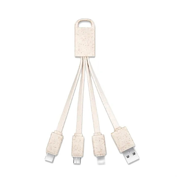 Raneon 3in1 Charging Cable