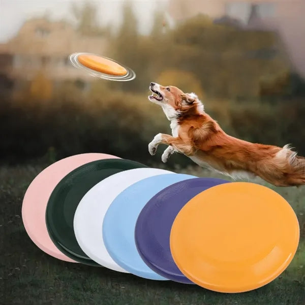 Pet Outdoor Flying Discs