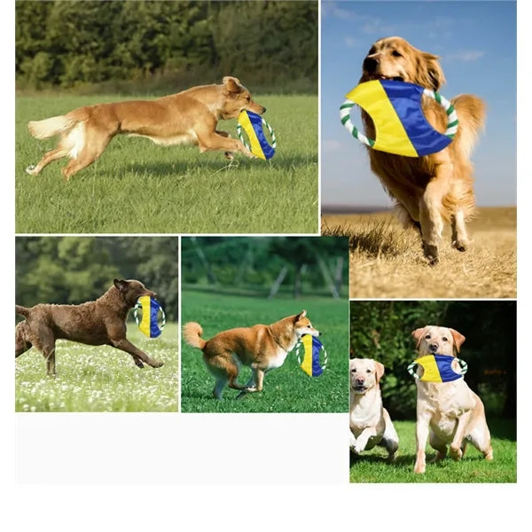 Durable Outdoor Dog Toy Flying Frisb