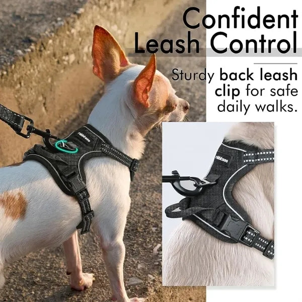 Pet Leash Reflective Vest Set