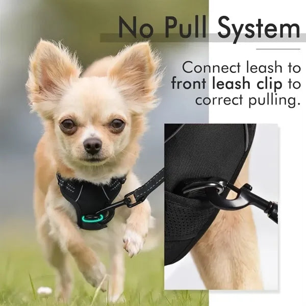Pet Leash Reflective Vest Set