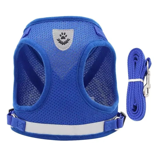 Pet Leash Reflective Vest Set