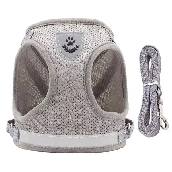 Pet Leash Reflective Vest Set