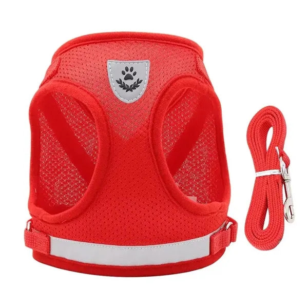 Pet Leash Reflective Vest Set