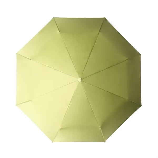 Windproof Travel Compact-Automatic Umbrellas