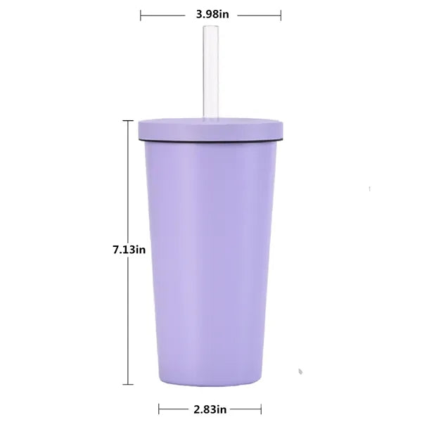 Insulated Tumbler with Lid and Straw 17 Oz.
