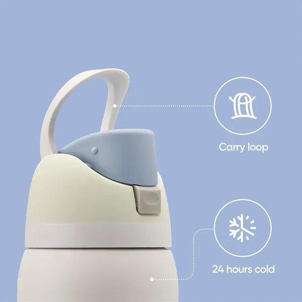 Insulated Stainless Steel Water Bottle