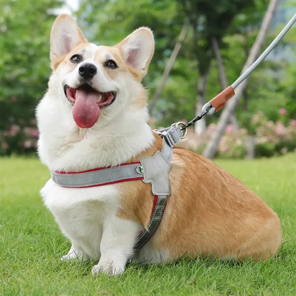 Pet Saddle Straps Are Breathable, Comfortable And Reflective