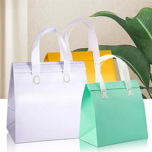 Insulated Take Away Bags
