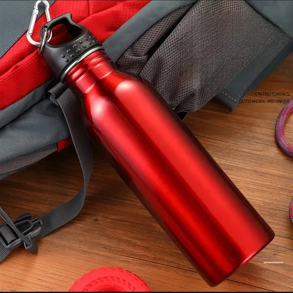 25 oz. Wide Mouth Stainless Steel Sports Bottle w/ Carabiner