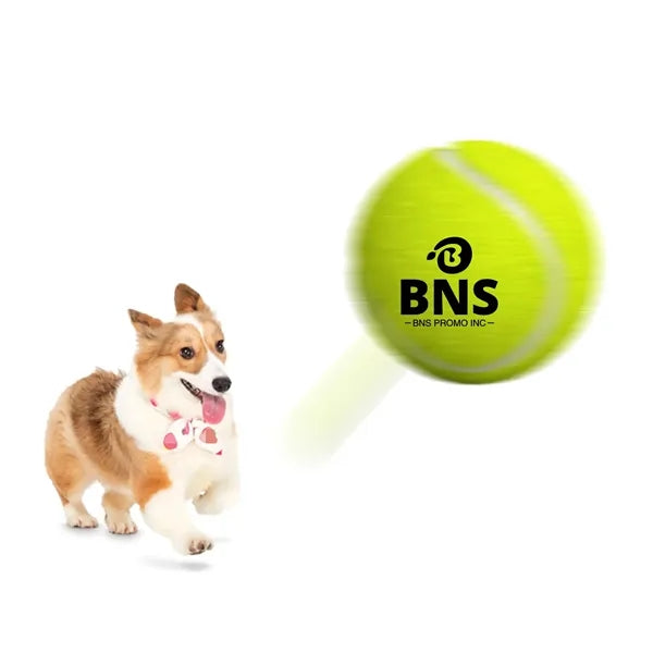 Pet Training Tennis Ball Dog Tennis Balls Pet Toys