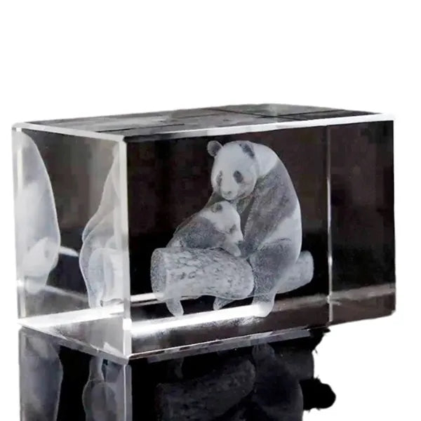 3D Laser Engraved Crystal Rectangular Cut Award