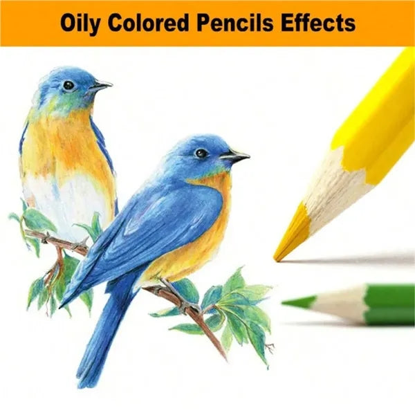 Color Pencil Set