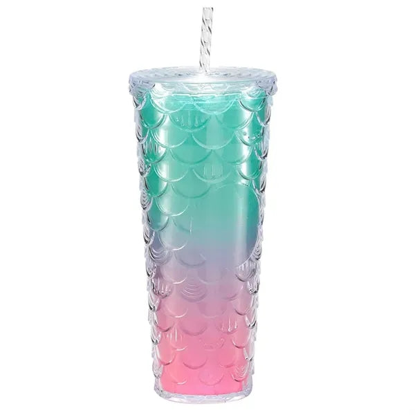 24OZ Double Wall Plastic Tumbler With Straw And Lid