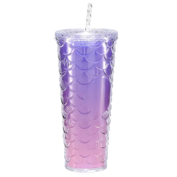 24OZ Double Wall Plastic Tumbler With Straw And Lid