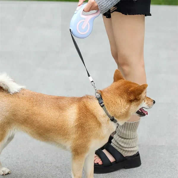 Automatic Shrink Lagging Reflective Pet Leash