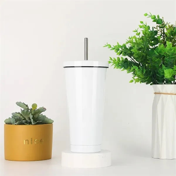17 Oz. Stainless Steel Insulated Tumbler With Straw And Lid