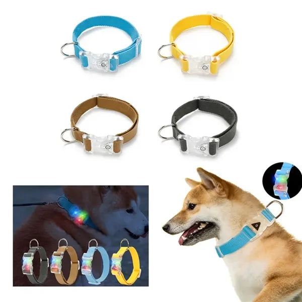 Glowing LED Dog Collar Light