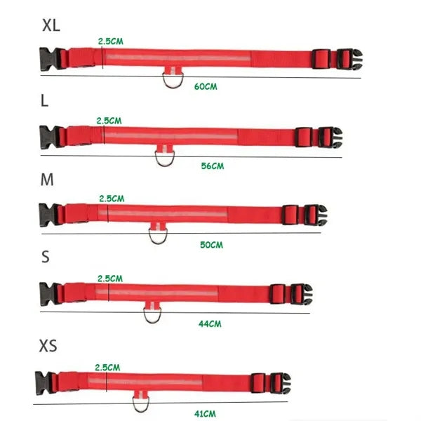Rechargeable Glowing Pet Safety Collar