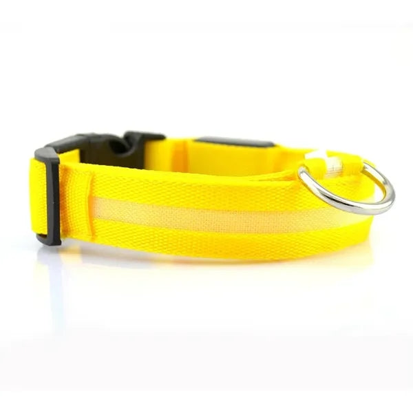 Rechargeable Glowing Pet Safety Collar