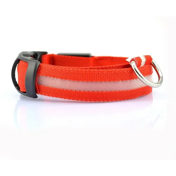Rechargeable Glowing Pet Safety Collar