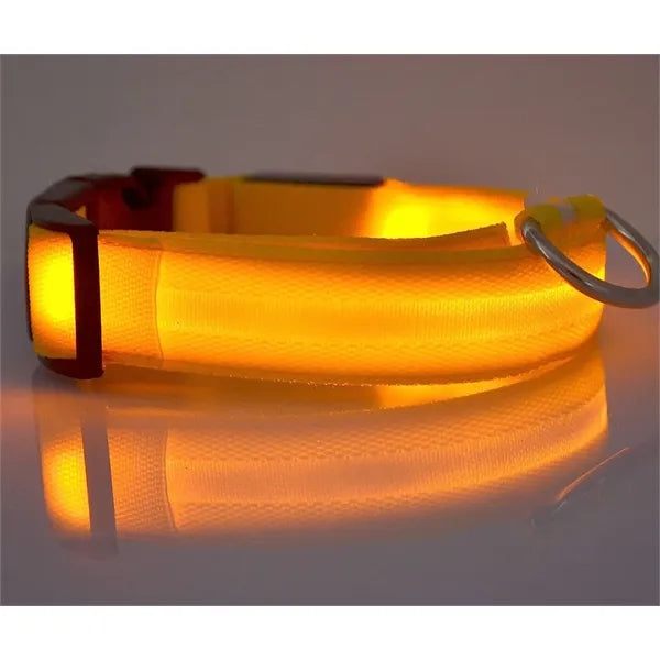 Rechargeable Glowing Pet Safety Collar