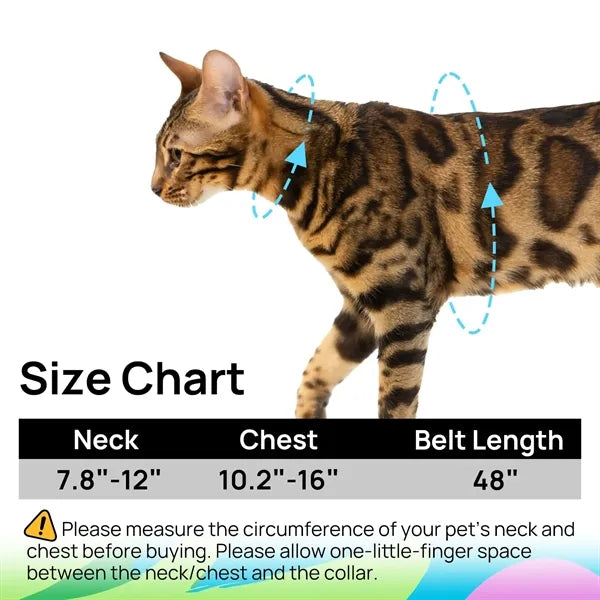 Cat Harness and Leash Set
