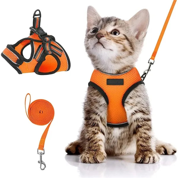 Rabbitgoo Cat Harness