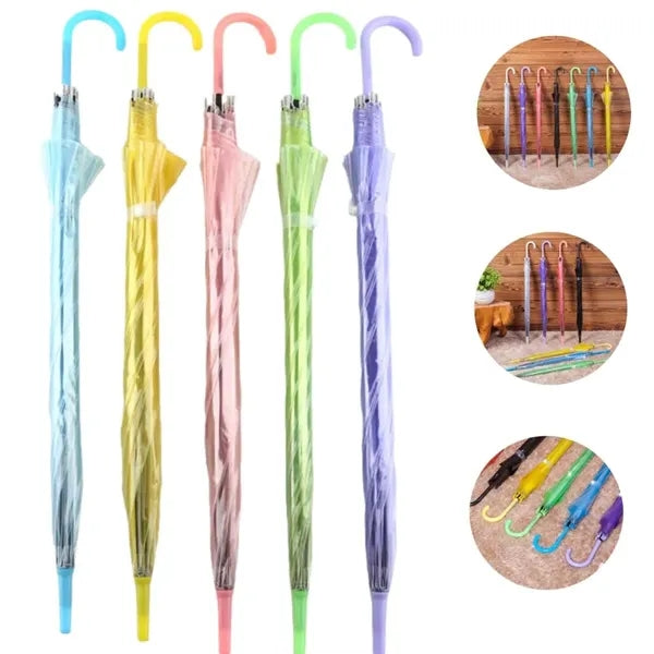 Transparent umbrella with long handle