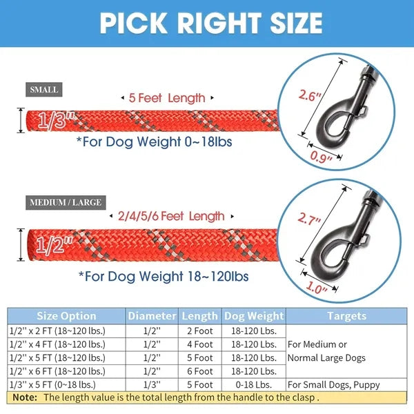 Dog Leash with Comfortable