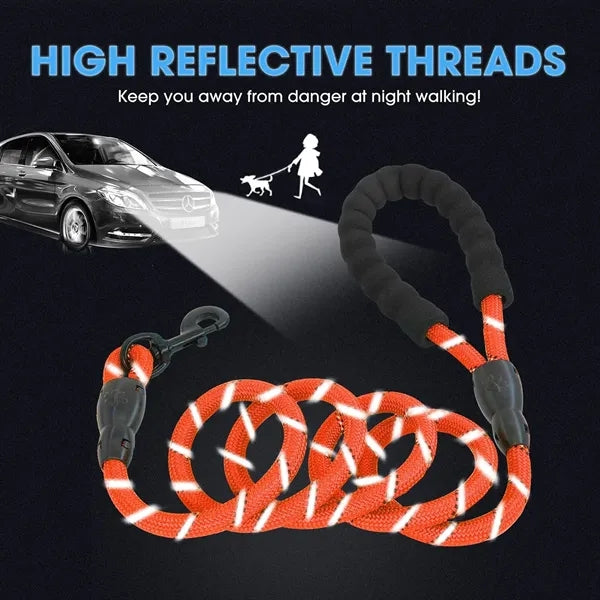 Dog Leash with Comfortable