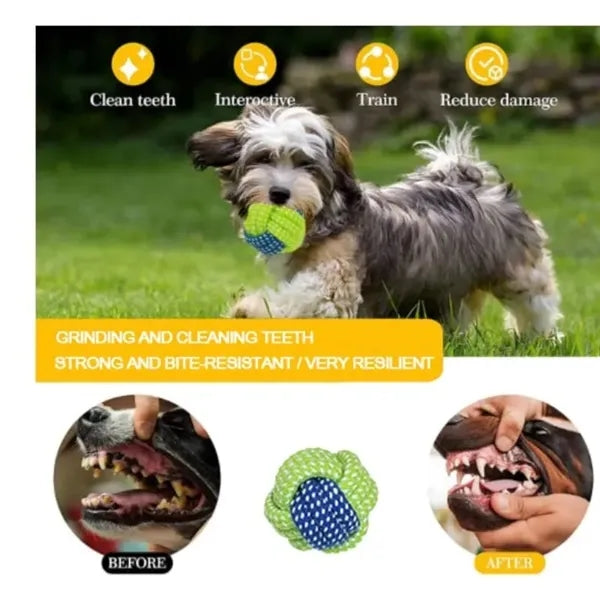 Dog Toys For Aggressive