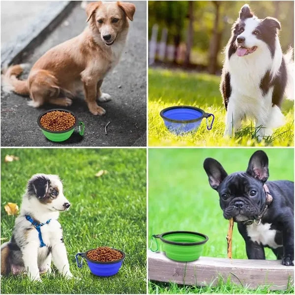350ml Pet Collapsible Bowl With Carabiner