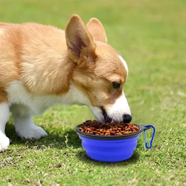 350ml Pet Collapsible Bowl With Carabiner