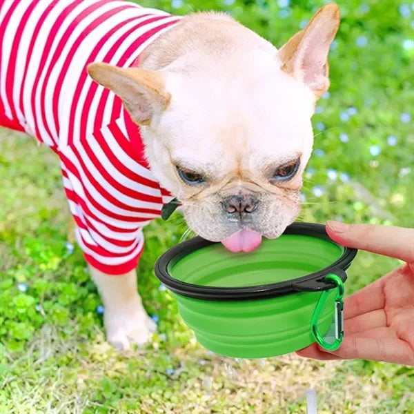 350ml Pet Collapsible Bowl With Carabiner