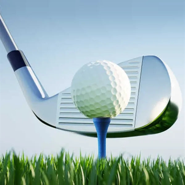 Engraved Golf Tees Business Gifts