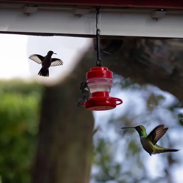 Creative Outdoor Hanging Detachable Cage Bird Feeder