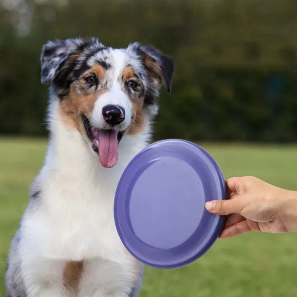 Dog Flying Disc Toy