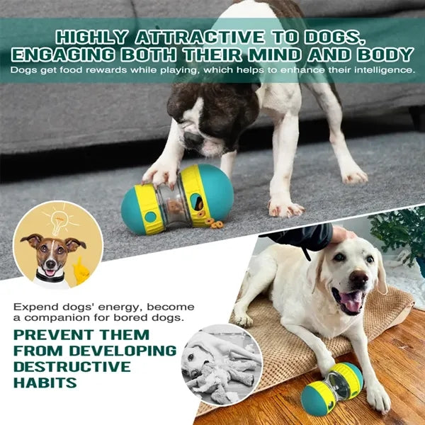 Super Ball Slow Food Dog Toy