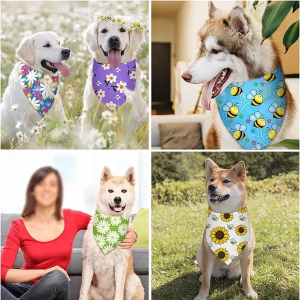Pet Scarf