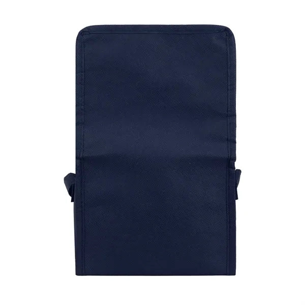 Springs 6-Pack Insulated Cooler Bag