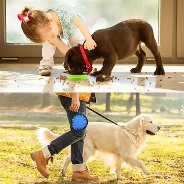 Collapsible Travel Bowls for Dogs Cats Pets