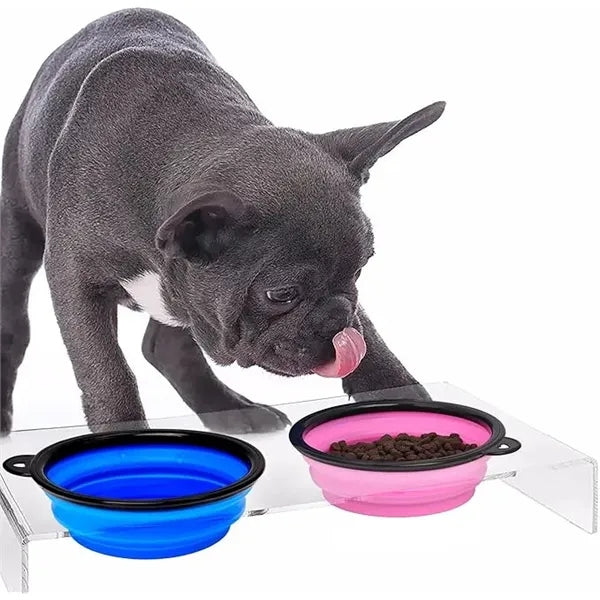 Collapsible Travel Bowls for Dogs Cats Pets