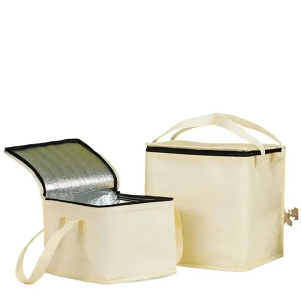 Color And Size Grocery Cooler Bag