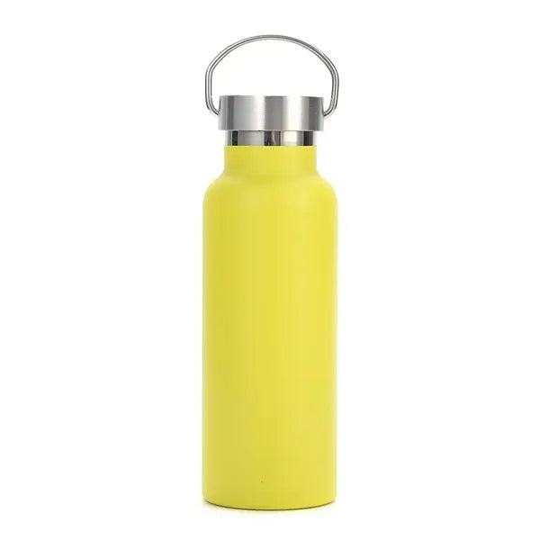17oz Insulated Stainless Steel Water Bottle w/ Metal Handle