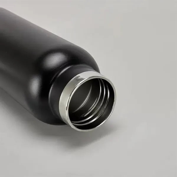 17oz Insulated Stainless Steel Water Bottle w/ Metal Handle