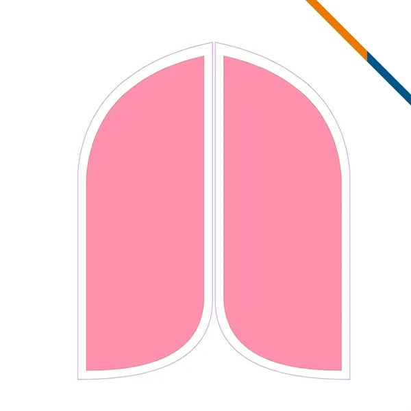 7' Mott Double-Sided Feather Flag