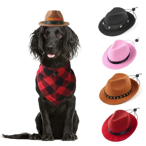 Pet Western Cowboy Sombrero Hat