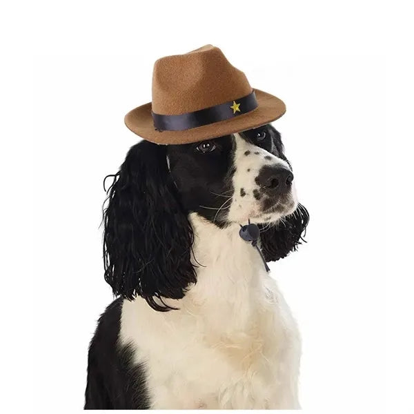 Pet Western Cowboy Sombrero Hat